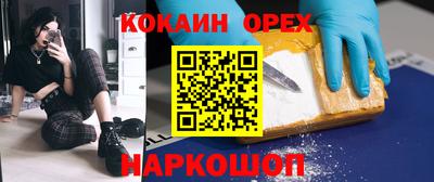 винт Партизанск
