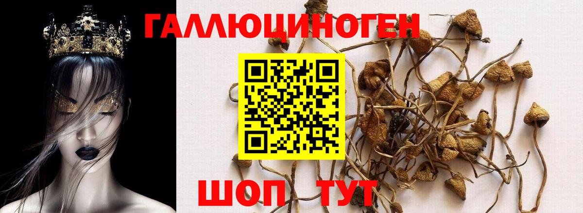 Галлюциногенные грибы Cubensis Самара